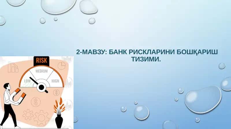 Банк рискларини бошқариш тизими