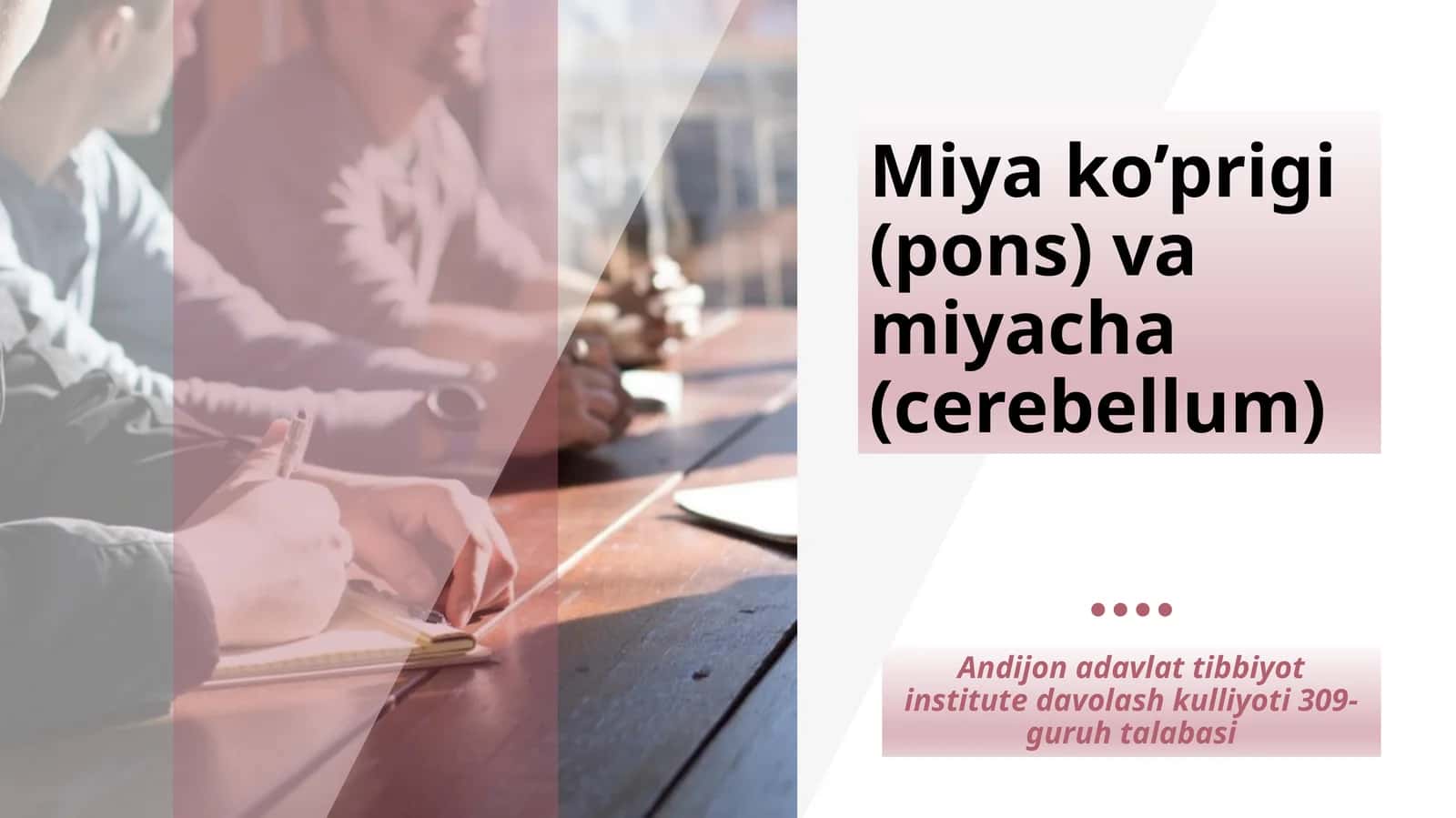 Miya ko’prigi (pons) va miyacha (cerebellum)