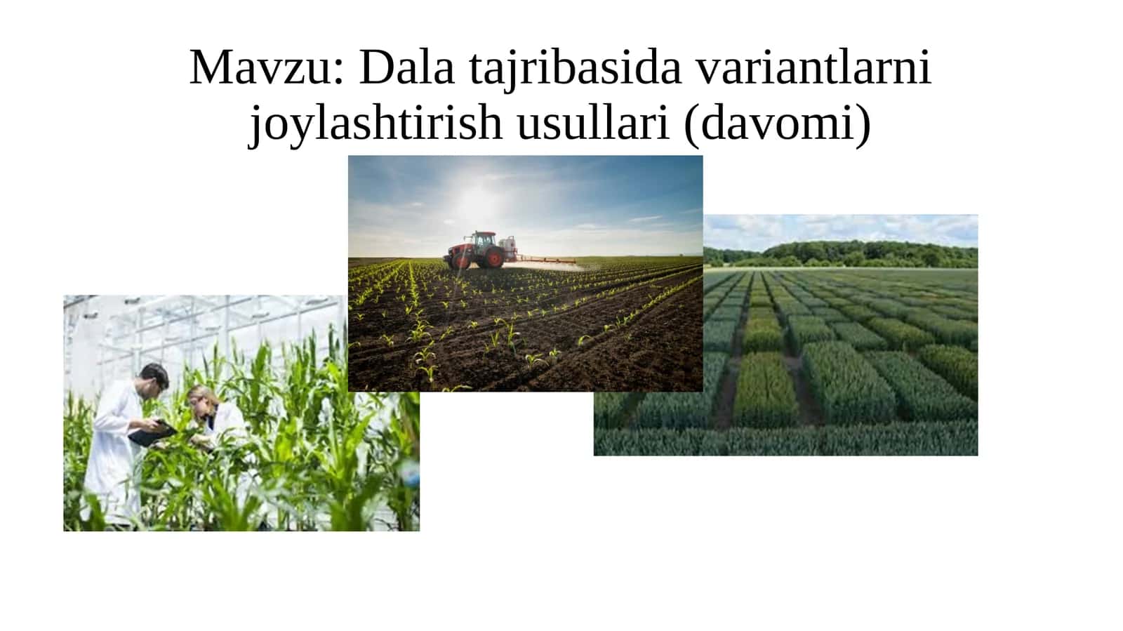Dala tajribasida variantlarni joylashtirish usullari