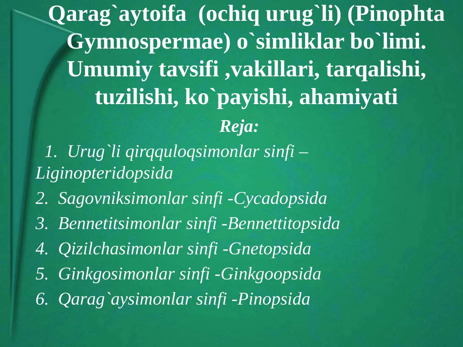 Qarag`aytoifa(ochiqurug`li) (PinophtaGymnospermae)