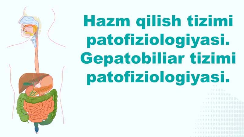 Hazm qilish tizimi patofiziologiyasi