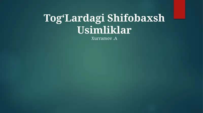 TogʻLardagi Shifobaxsh Usimliklar