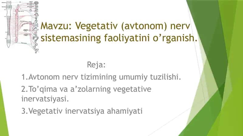 mustaqil ish