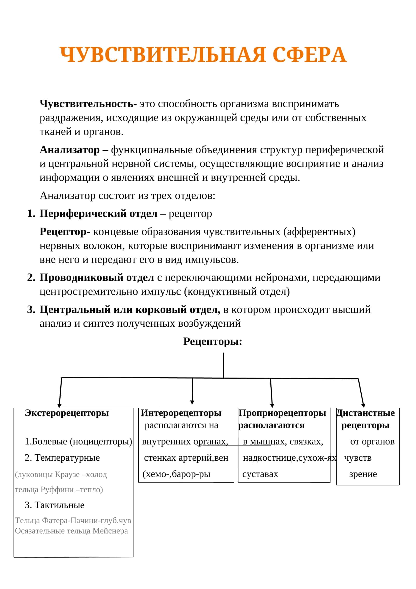 Чувствительная сфера