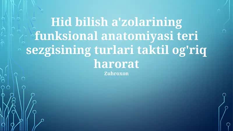 Teri funksiya anatomiyasi dermani