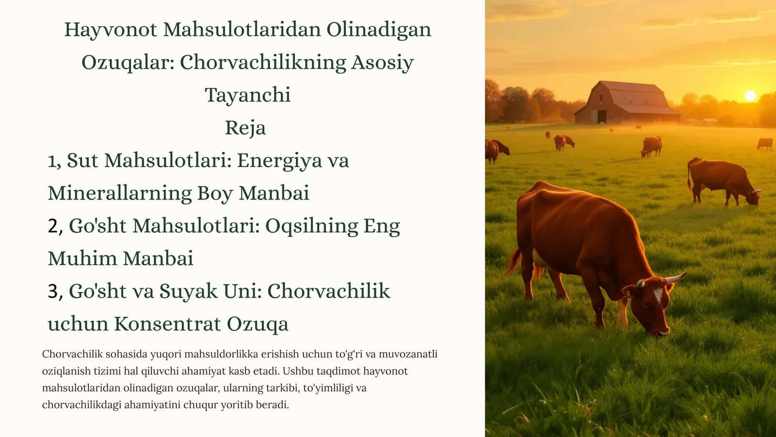 Chorvachilikning Asosiy Tayanchi