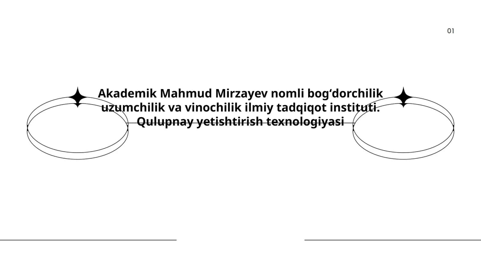 Qulupnay Yetishtirish Texnologiyasi
