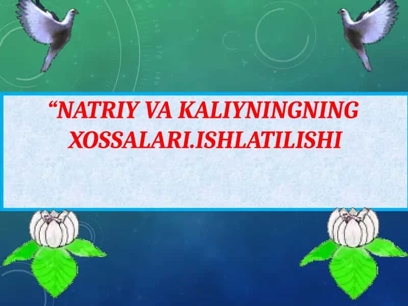 NATRIY VA KALIYNINGNINGXOSSALARI.ISHLATILISHI