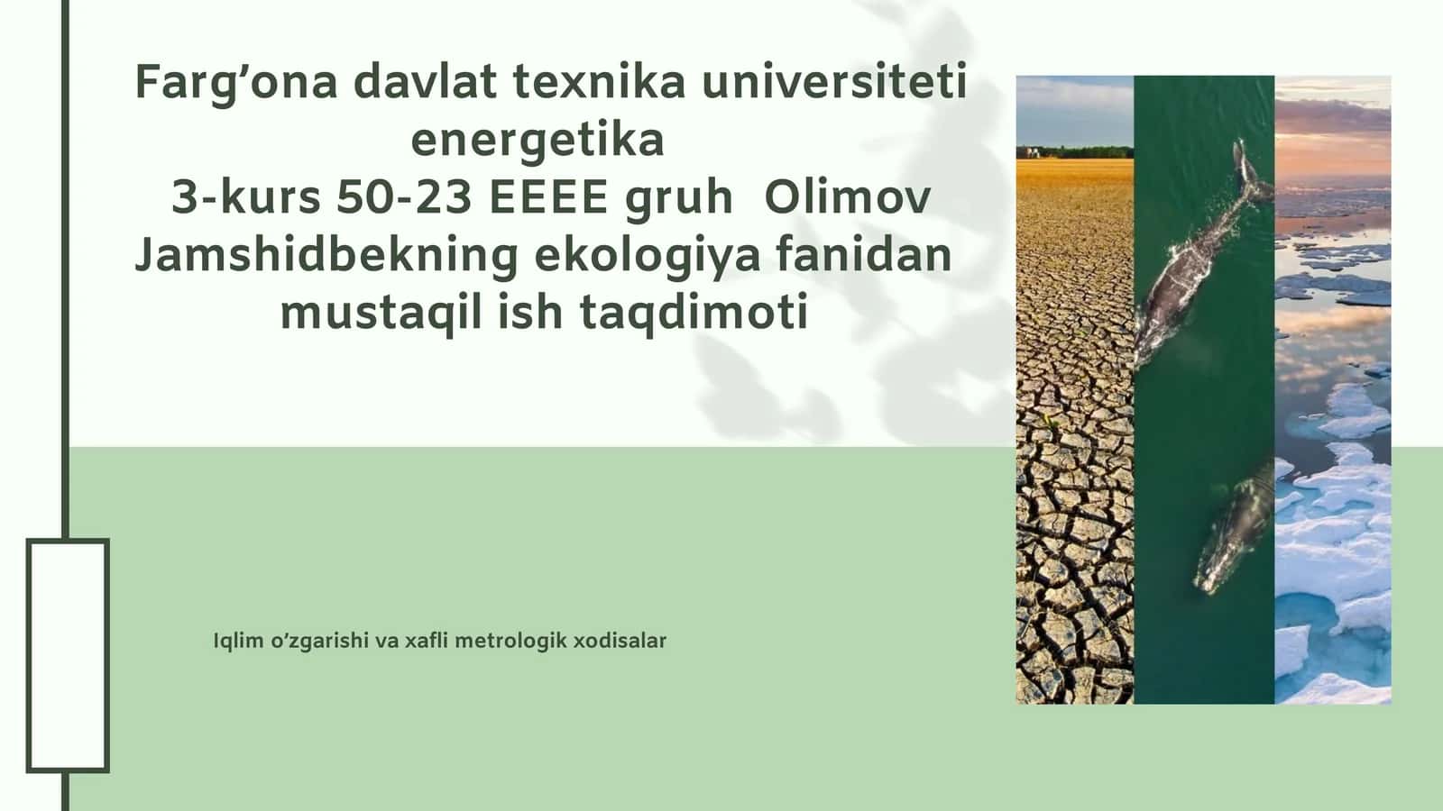 Ekologiya fanidan mustaqil ish taqdimoti