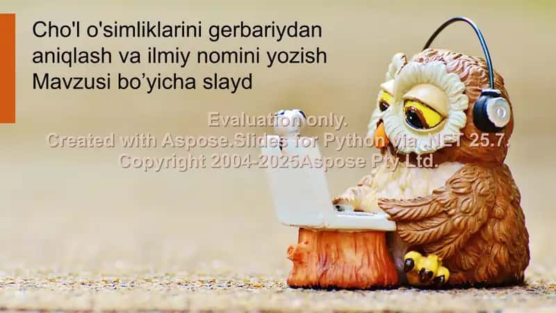 Cho'l o'simliklarini gerbariydan aniqlash va ilmiy nomini yozish Mavzusi bo’yicha slayd
