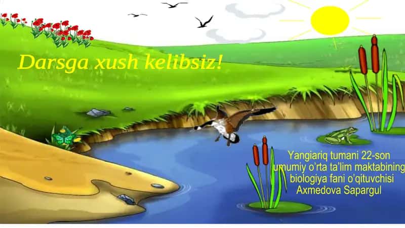 Oshqozon-ichak kasalliklari va ularning oldini olish