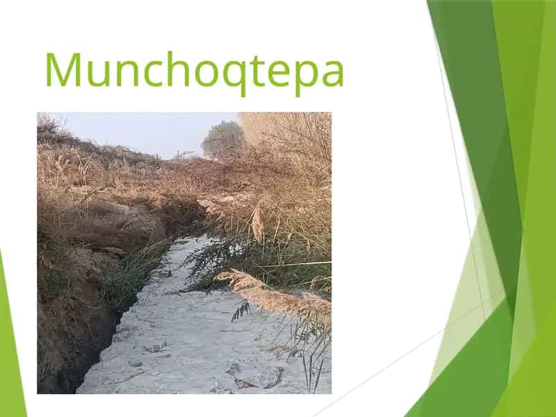 Munchoqtepa