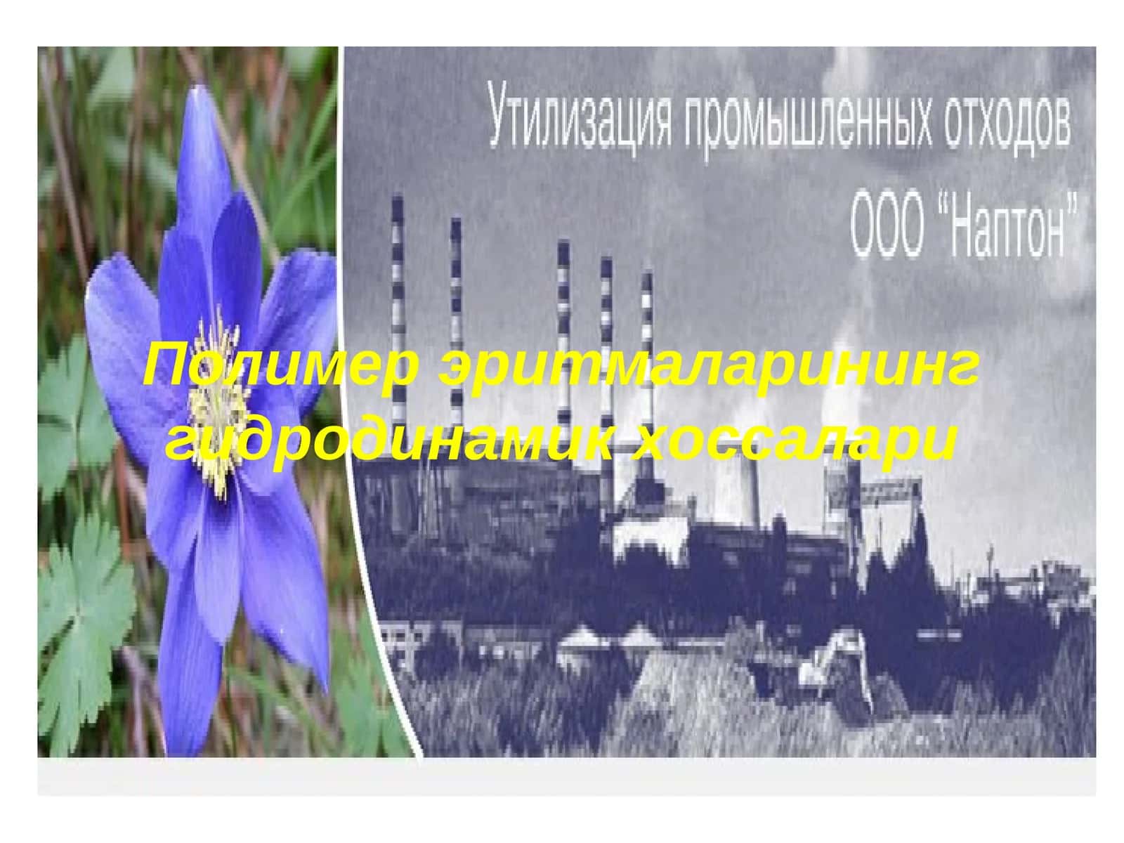 Polimer eritmalarining qovushoqligi