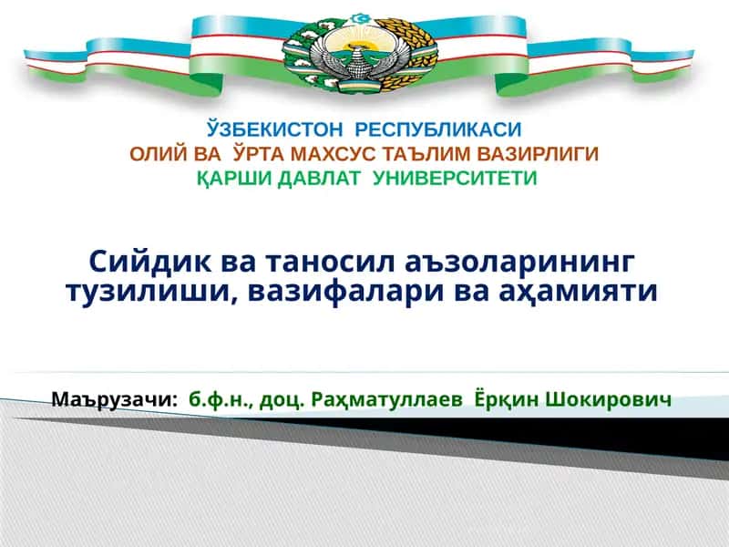 Сийдик ва таносил аъзоларининг тузилиши, вазифалари ва аҳамияти