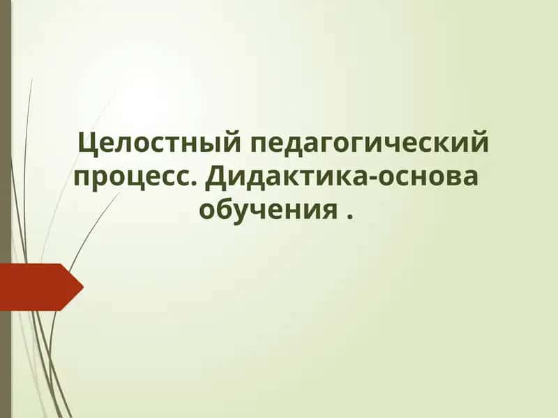 Целостный педагогический процесс