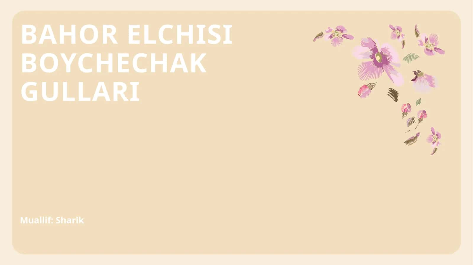 BOYCHECHAK GULLARI