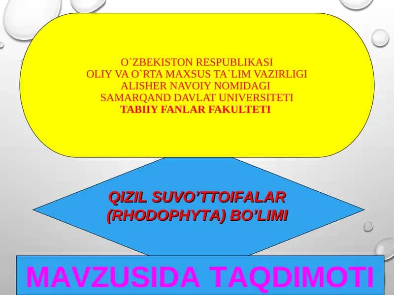 Qizil suvo’ttoifalar (Rhodophyta)