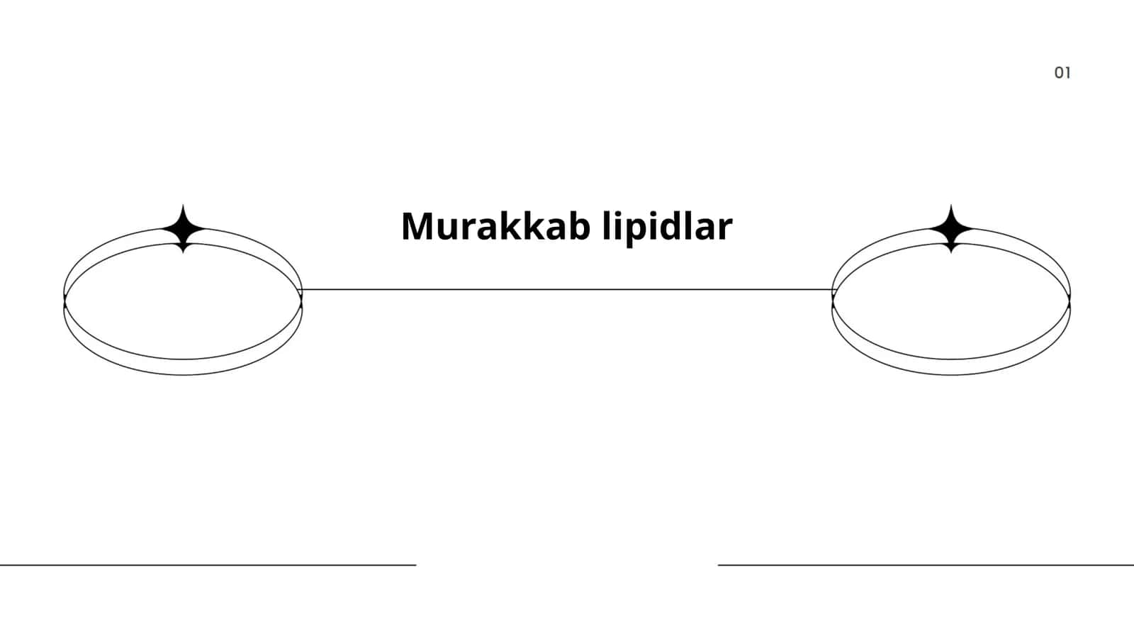 Murakkab lipidlar