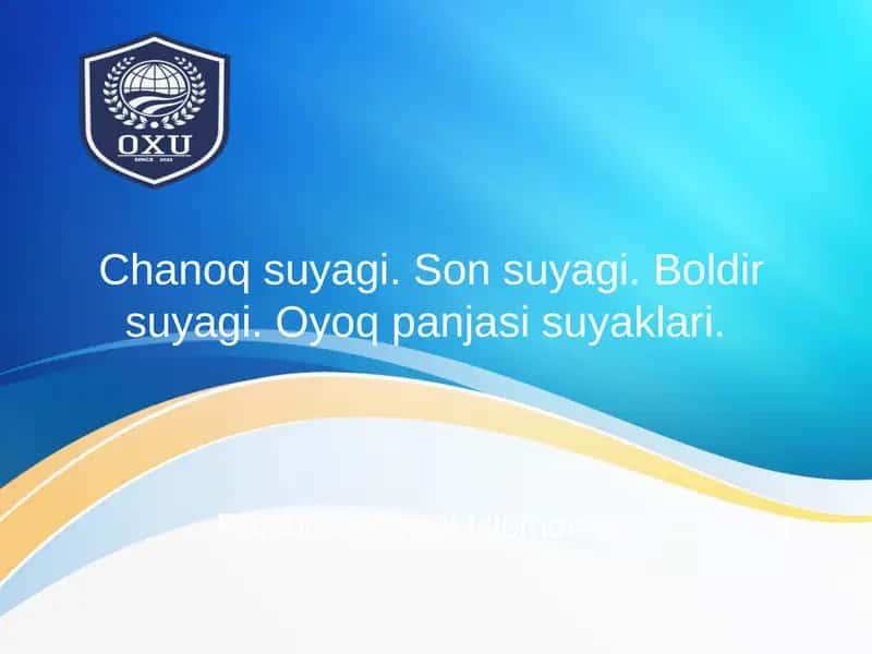 Chanoqsuyagi, Sonsuyagi, Boldirsuyagi, Oyoqpanjasisuyaklari