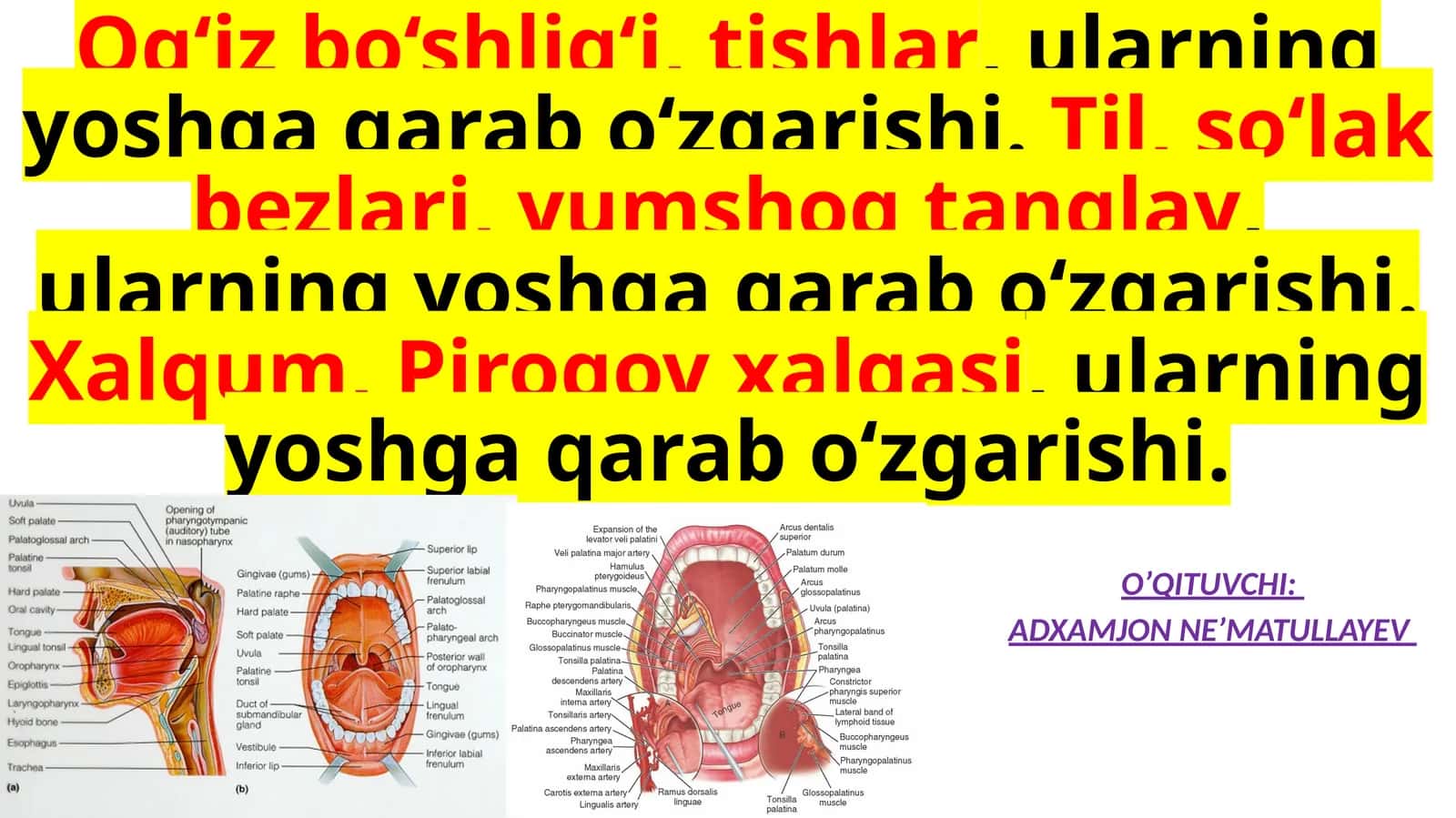 Og‘izbo‘sғlig’i