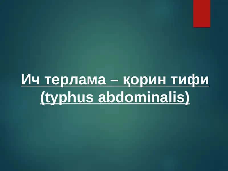Ич терлама –қорин тифи (typhus abdominalis)
