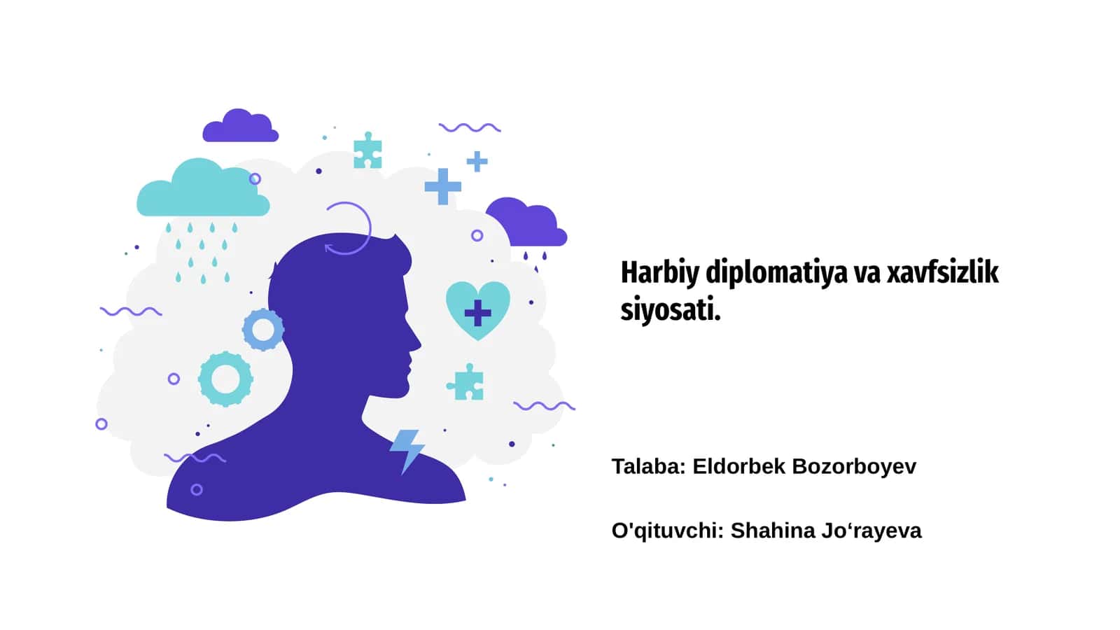 Harbiy diplomatiya va xavfsizlik siyosati