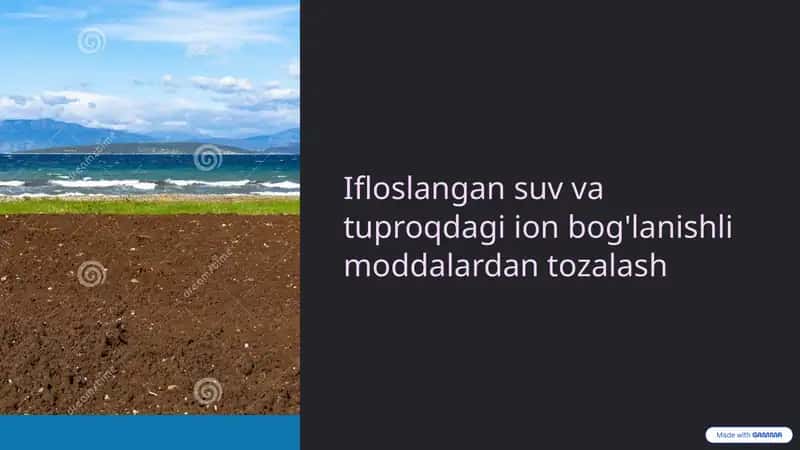 Ifloslangan suv va tuproqdagi ion bog'lanishli moddalardan tozalash