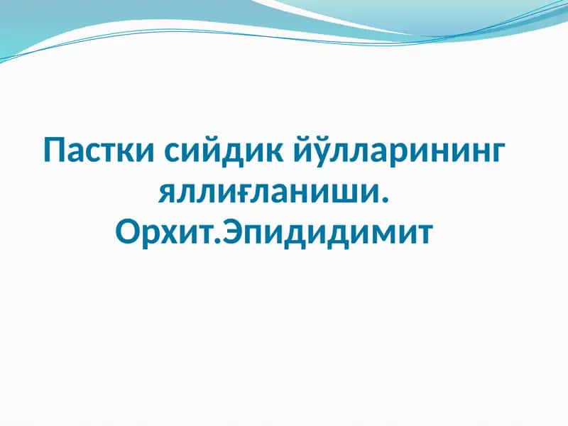 Орхит