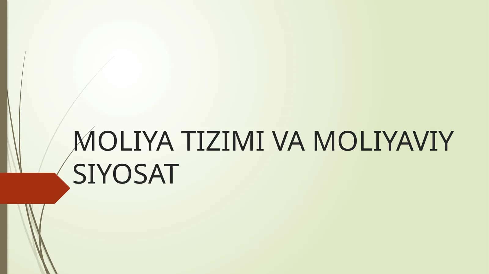 Moliya Tizimi va Moliyaviy Siyosat