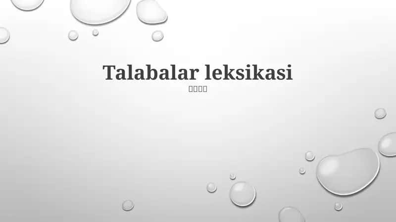 Talabalar leksikasi