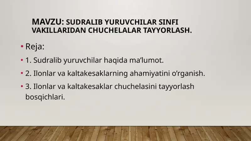 Sudralib yuruvchilar sinfi vakillaridan chuchelalar tayyorlash.