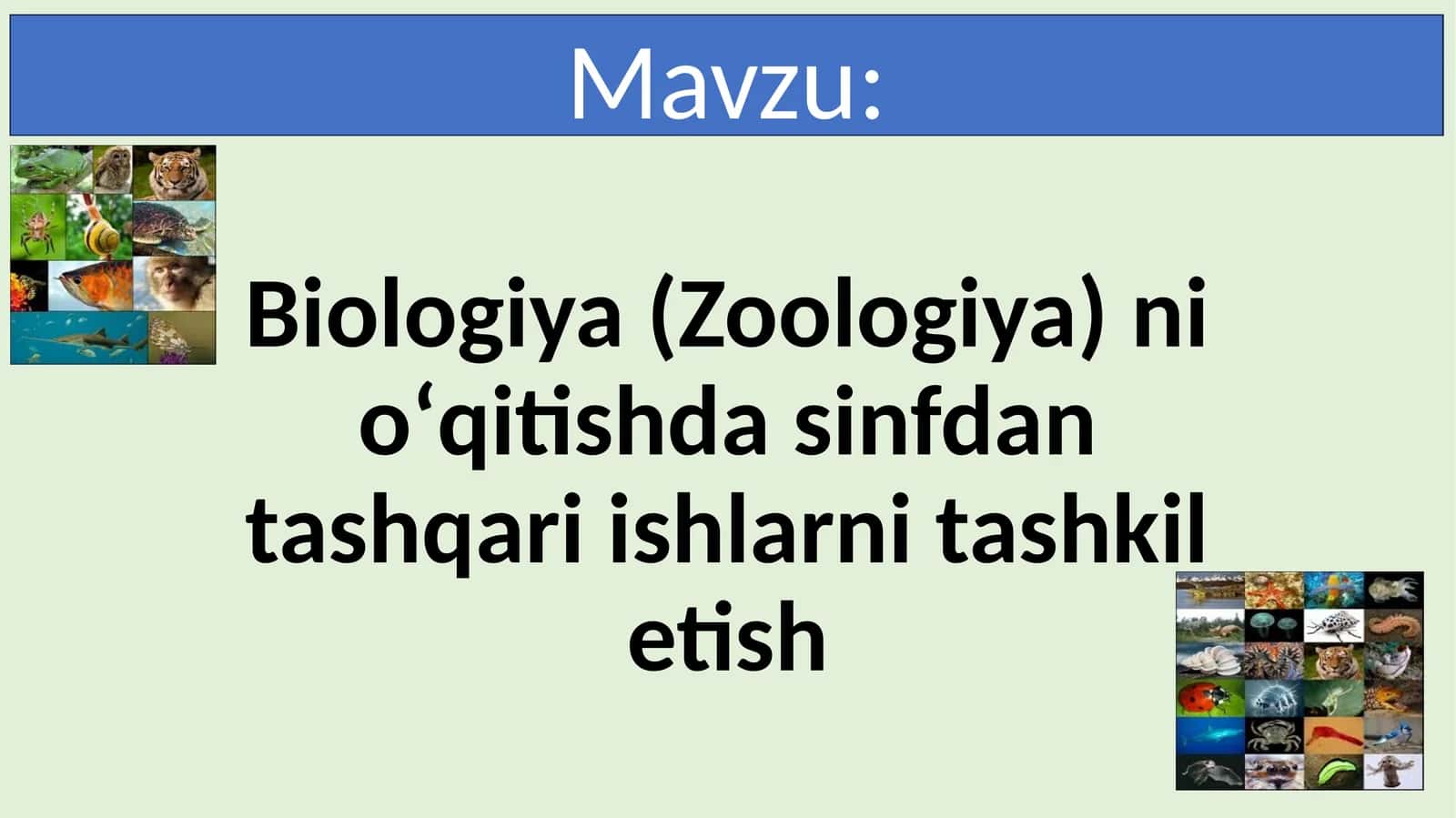 Biologiya (Zoologiya) ni oʻqitishda sinfdan tashqari ishlarni tashkil etish
