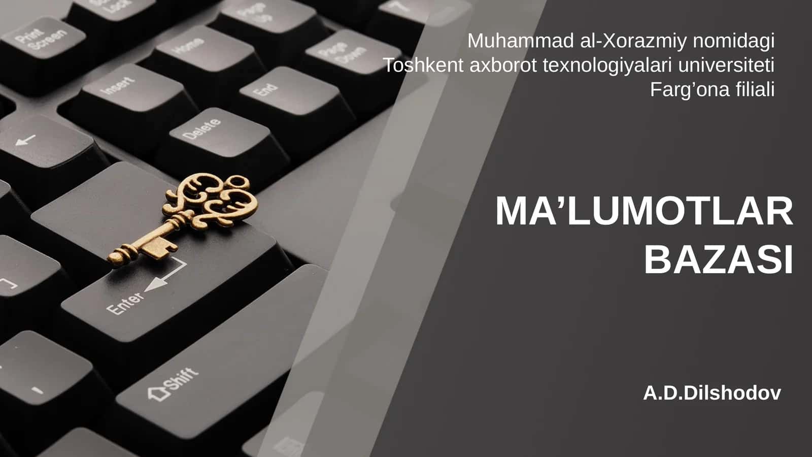 Ma’lumotlar bazasi modeli
