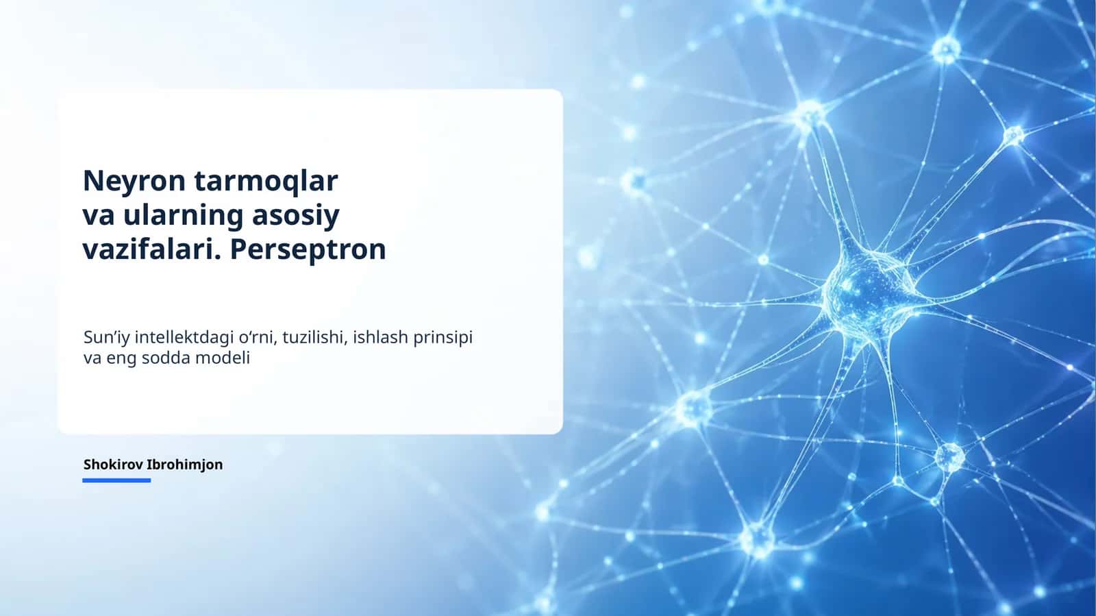 Neyron tarmoqlar va perseptron mustaqil ish