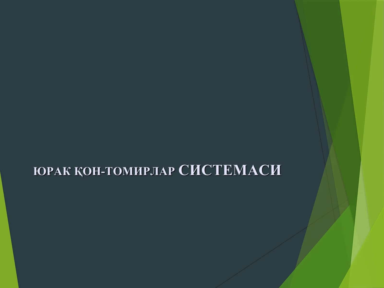 ЮРАК ҚОН-ТОМИРЛАР СИСТЕМАСИ