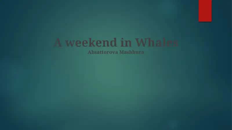 A weekend in Whales