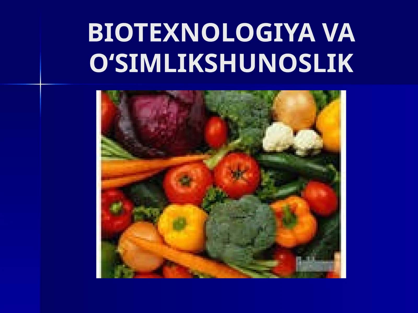 BIOTEXNOLOGIYA VA O‘SIMLIKSHUNOSLIK
