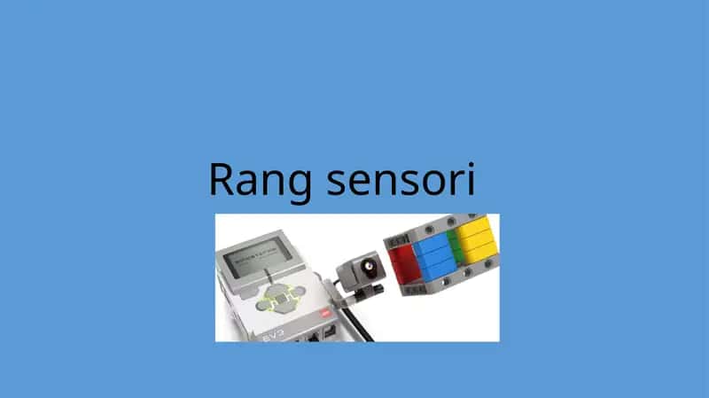 Rang sensori
