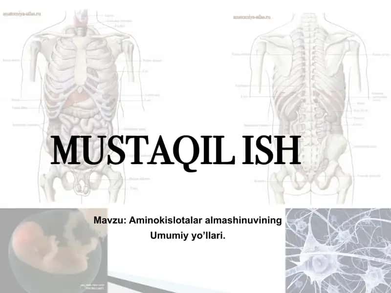 Aminokislotalar almashinuvi