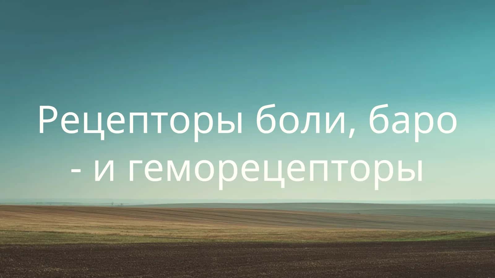 Рецепторы боли, баро - и геморецепторы