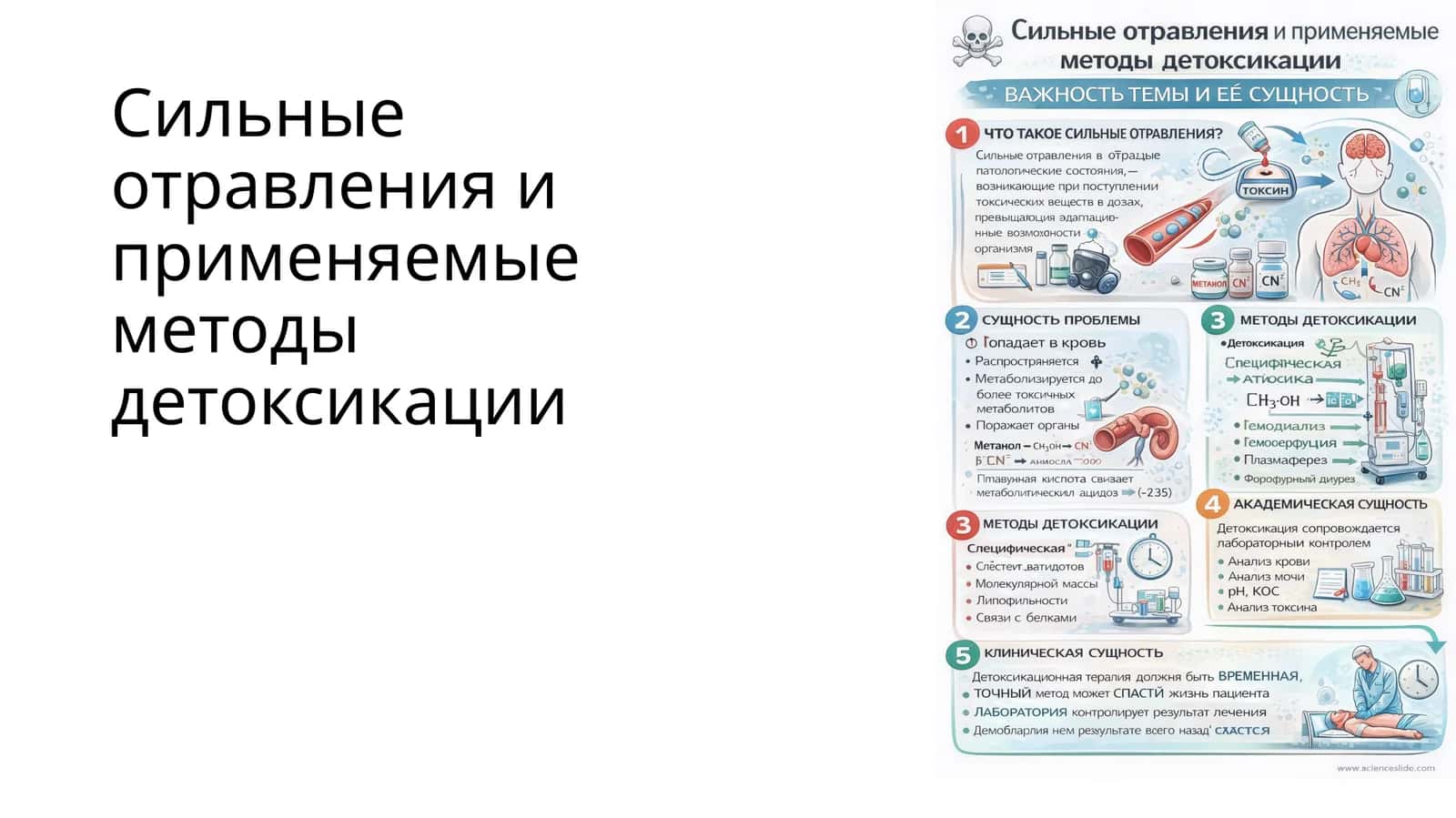 Сильные отравления и применяемые методы детоксикации