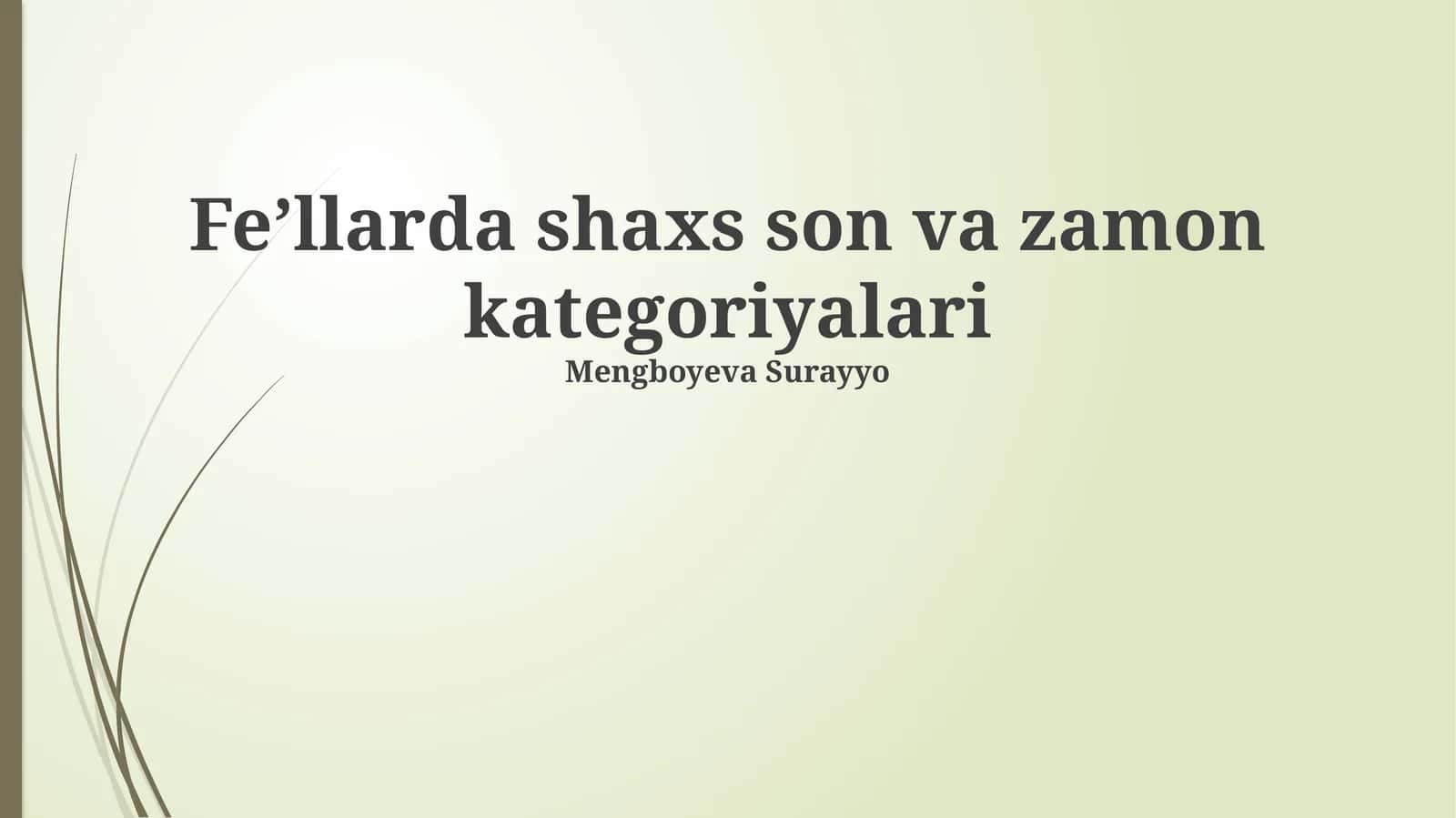 Feʼllarda shaxs son va zamon kategoriyalari