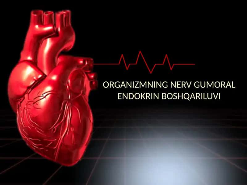 ORGANIZMNING NERV GUMORAL ENDOKRIN BOSHQARILUVI
