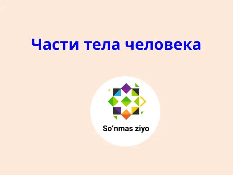 Части тела человека