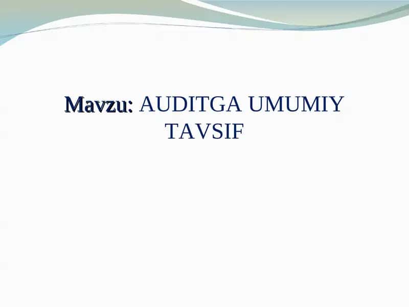 AUDITGA UMUMIY TAVSIF