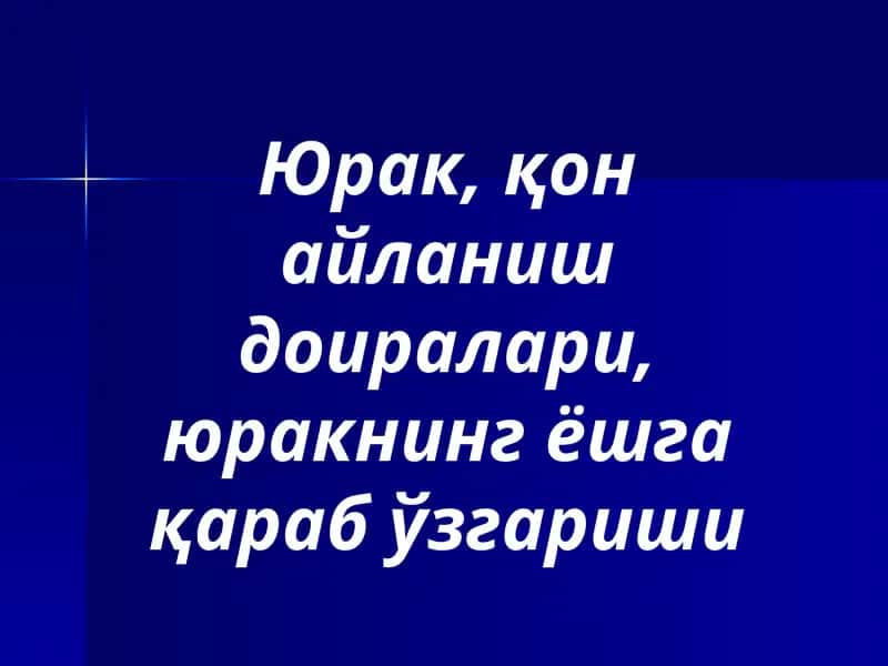 Юрак
