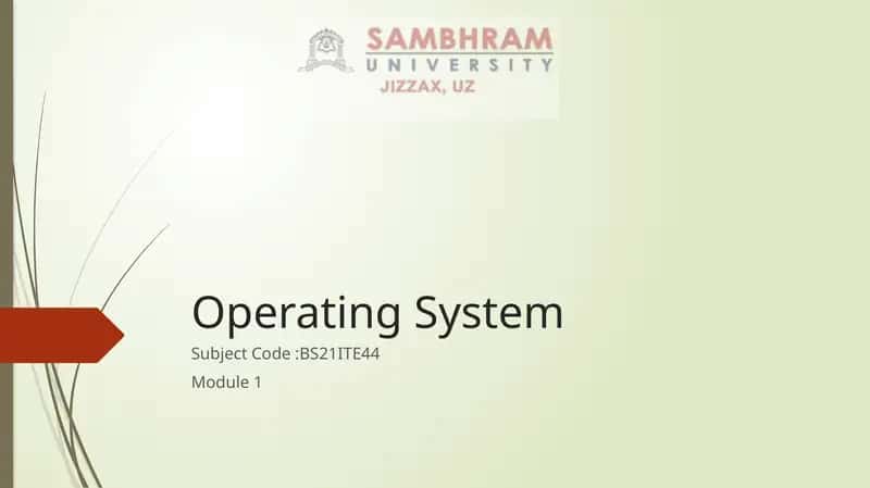 Operating System