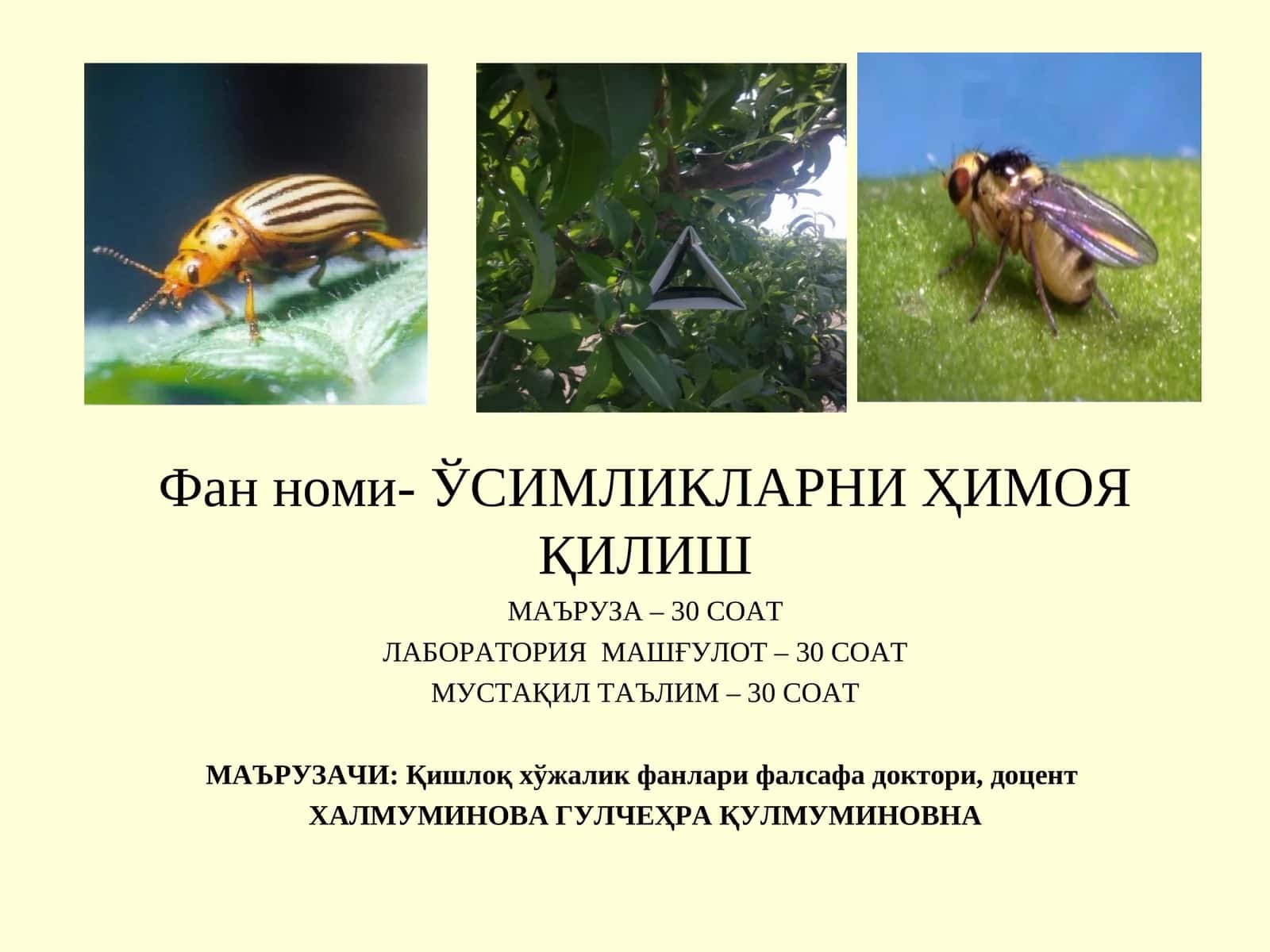 Ўсимликларни кимёвий ҳимоя қилиш
