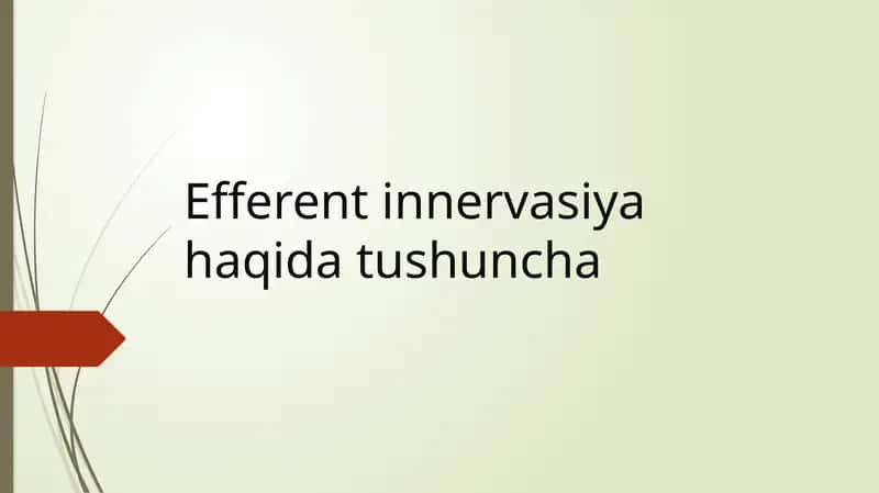 Efferent innervasiya haqida tushuncha