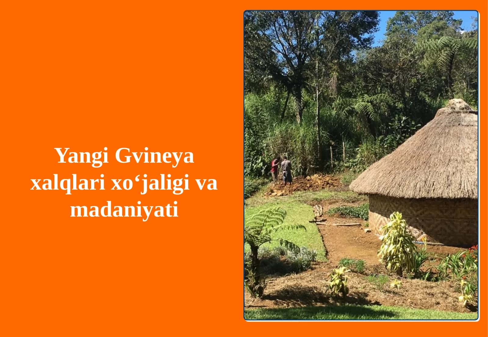 Yangi Gvineya xalqlari xoʻjaligi va madaniyati